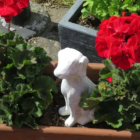 Gebauer-1 By Interhome *