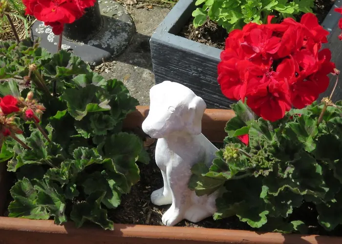 Gebauer-1 By Interhome *